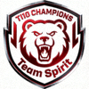 Team Spirit刀塔2战队标志 - 国际邀请赛冠军队伍
