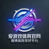 爱游戏体育官网Logo - 赛博体育竞技平台标志